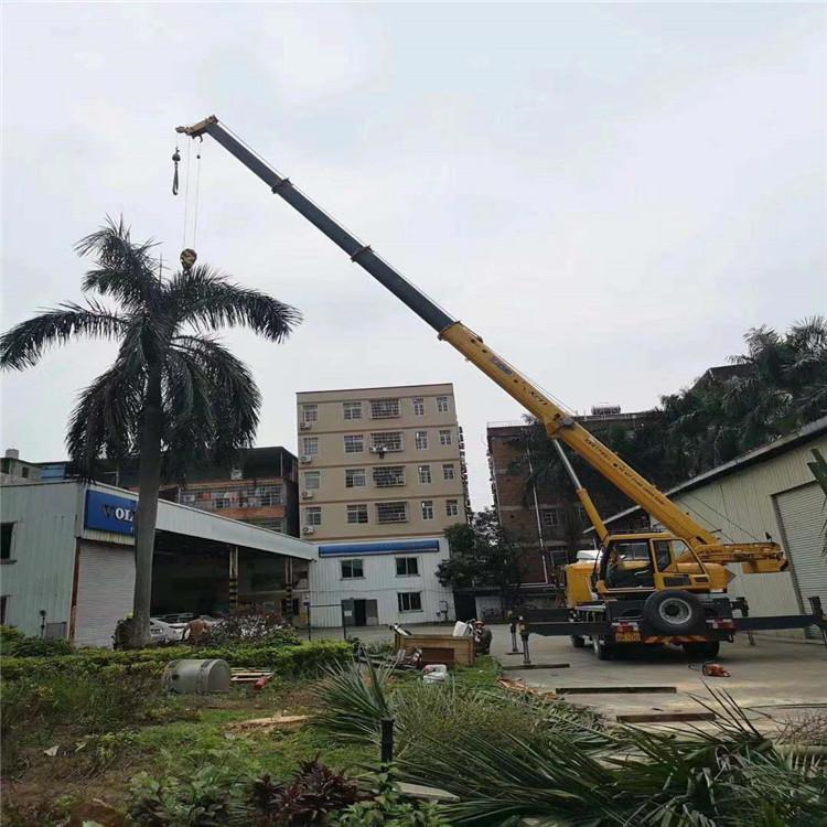 覃塘吊车吊大树几种方法